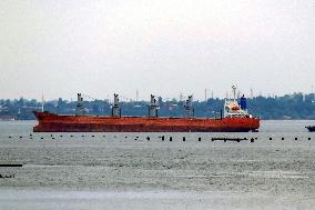 Grain Initiative: Russia suspends registration of incoming fleet