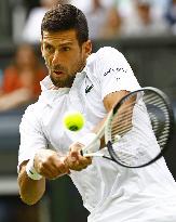 Tennis: Wimbledon championships