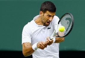 Tennis: Wimbledon championships