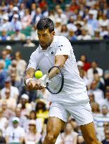 Tennis: Wimbledon championships