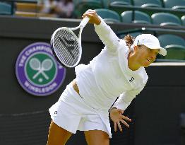 Tennis: Wimbledon championships