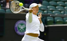 Tennis: Wimbledon championships