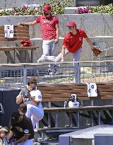 Baseball: Angels vs. Padres