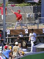 Baseball: Angels vs. Padres