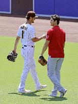 Baseball: Angels vs. Padres