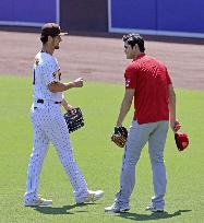 Baseball: Angels vs. Padres