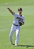 Baseball: Angels vs. Padres