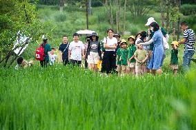 CHINA-CHONGQING-GUANGYANG ISLE-ECOLOGICAL EDUCATION (CN)