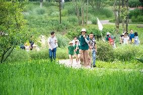 CHINA-CHONGQING-GUANGYANG ISLE-ECOLOGICAL EDUCATION (CN)