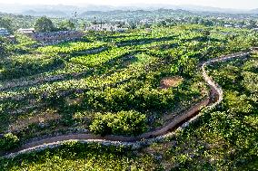 Agricultural Irrigation in Anyang