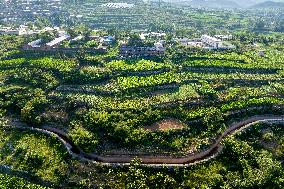 Agricultural Irrigation in Anyang