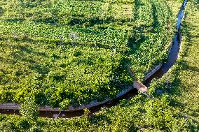 Agricultural Irrigation in Anyang