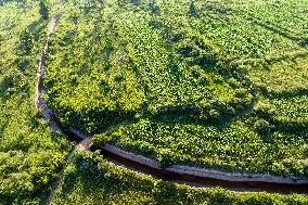 Agricultural Irrigation in Anyang