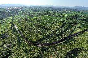 Agricultural Irrigation in Anyang