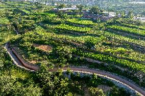 Agricultural Irrigation in Anyang