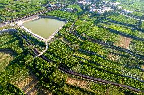 Agricultural Irrigation in Anyang