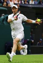 Tennis: Wimbledon championships