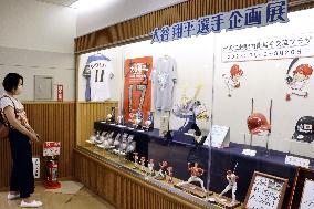 Baseball: Ohtani exhibition in hometown