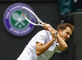 Tennis: Wimbledon championships