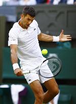 Tennis: Wimbledon championships