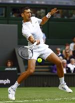 Tennis: Wimbledon championships