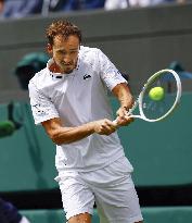 Tennis: Wimbledon championships