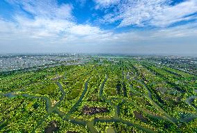 Hongze Lake Wetland Reed Maze Tour in Suqian