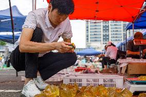 Crystal Capital of The World In Lianyungang