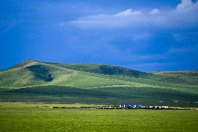 CHINA-INNER MONGOLIA-HOLIN GOL-GRASSLAND (CN)