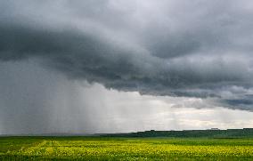 CHINA-INNER MONGOLIA-HOLIN GOL-GRASSLAND (CN)