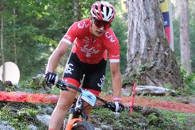 MTB World Series, Cross Coutry Race