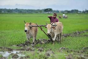 Daily Life In India