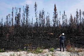 Forest Fire Aftermath - Canada