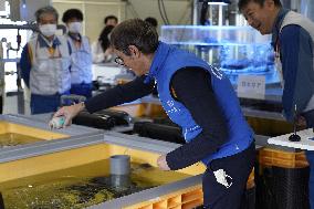 IAEA Approves Plan For Water Release - Fukushima