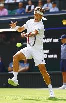 Tennis: Wimbledon championships