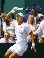 Tennis: Wimbledon championships