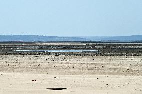 Kakhovka Reservoir near Zaporizhzhia has turned into desert