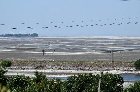 Kakhovka Reservoir near Zaporizhzhia has turned into desert