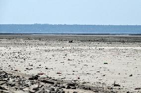 Kakhovka Reservoir near Zaporizhzhia has turned into desert