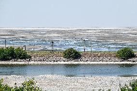 Kakhovka Reservoir near Zaporizhzhia has turned into desert