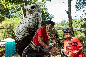 Mini Zoo In Bogor, Indonesia