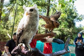 Mini Zoo In Bogor, Indonesia