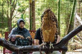 Mini Zoo In Bogor, Indonesia