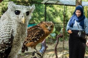 Mini Zoo In Bogor, Indonesia