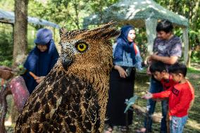 Mini Zoo In Bogor, Indonesia