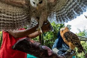 Mini Zoo In Bogor, Indonesia