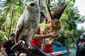 Mini Zoo In Bogor, Indonesia