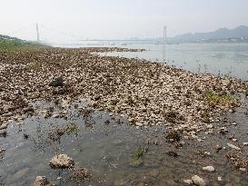 Yangtze River Water Level Falls