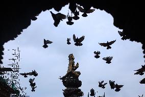 Pigeons Take Flight At Patan Durbar Square Nepal