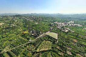 Agricultural Irrigation in Anyang